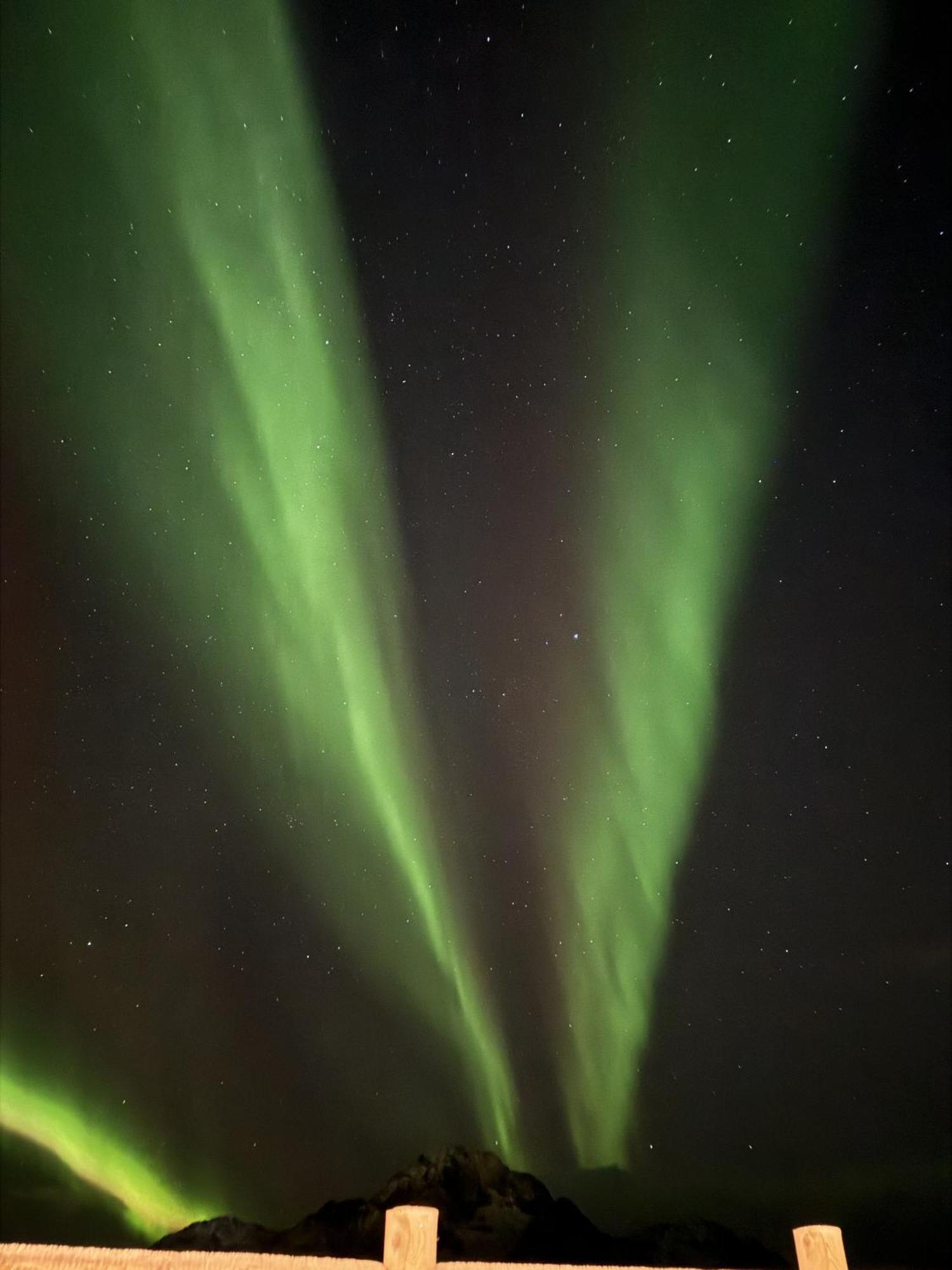 Nappstraumen Seafront Cabin, Lilleeid 68 Gravdal  ภายนอก รูปภาพ